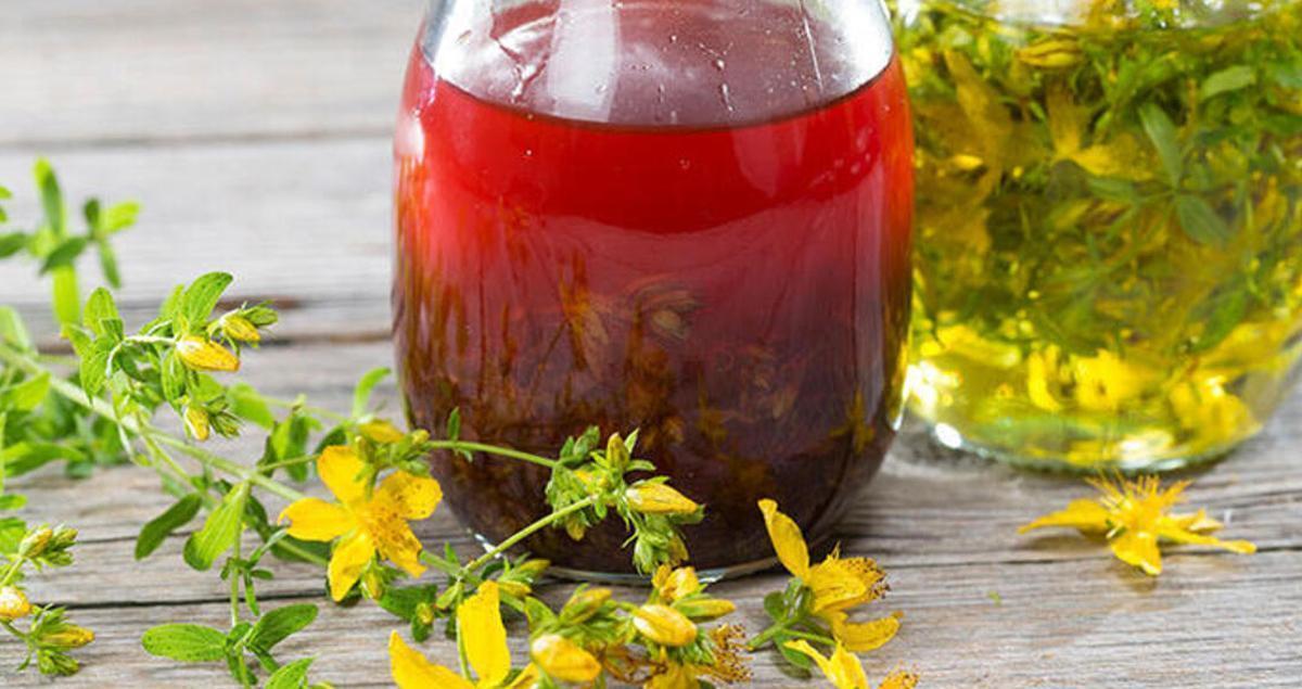 Kantaron Bitkisinin Faydaları Nelerdir? 2 Kantaron Bitkisinin Faydalari Nelerdir 3