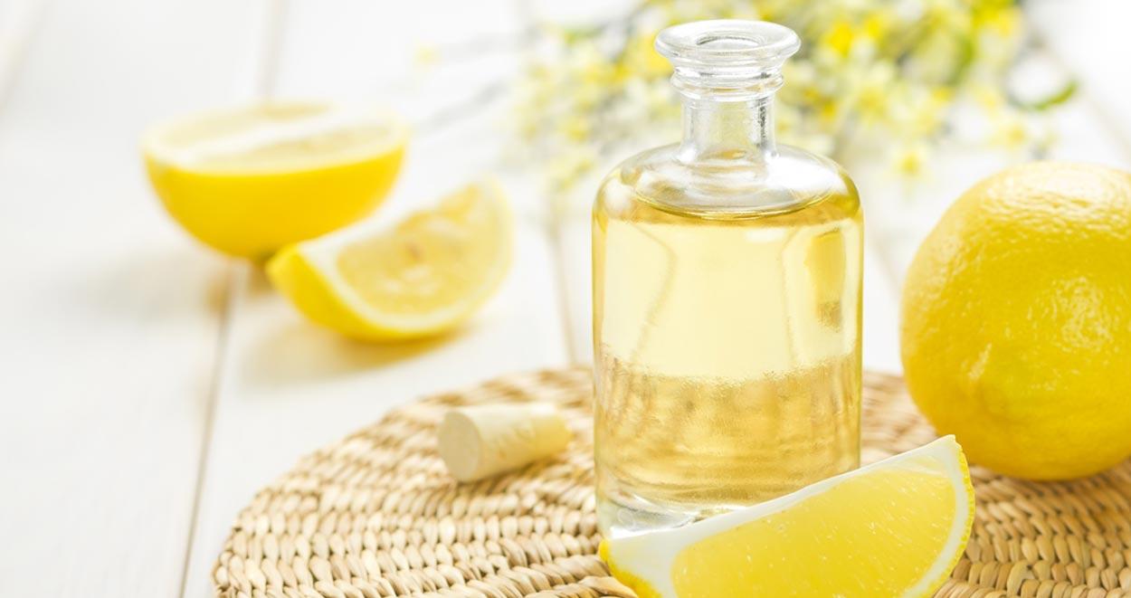 Limon Otu ve Faydaları 1 Limon otu ve faydalari
