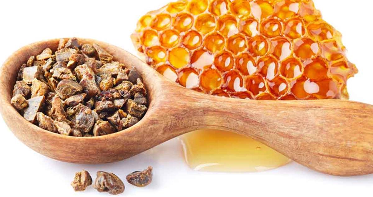 Propolis Nedir? Faydaları Nelerdir? 2 Propolis Nedir Faydalari Nelerdir 1