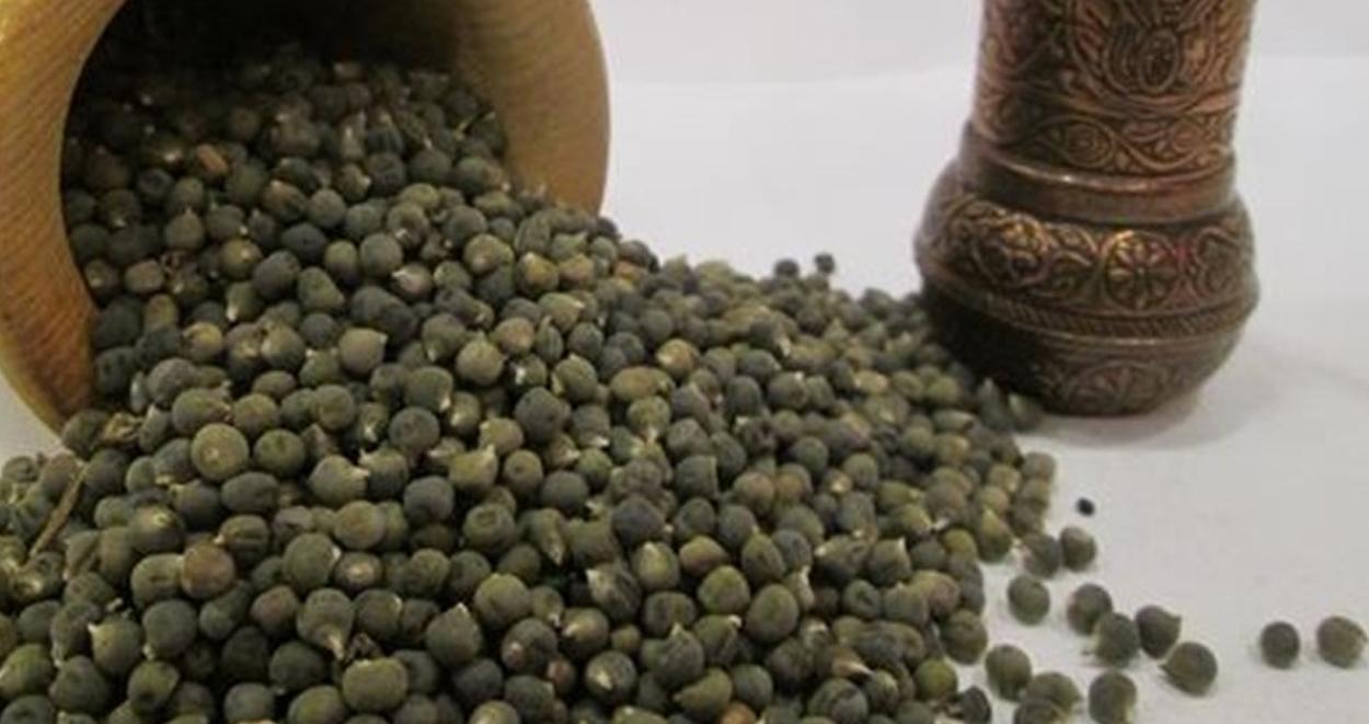 Bamyanin faydalari nelerdir