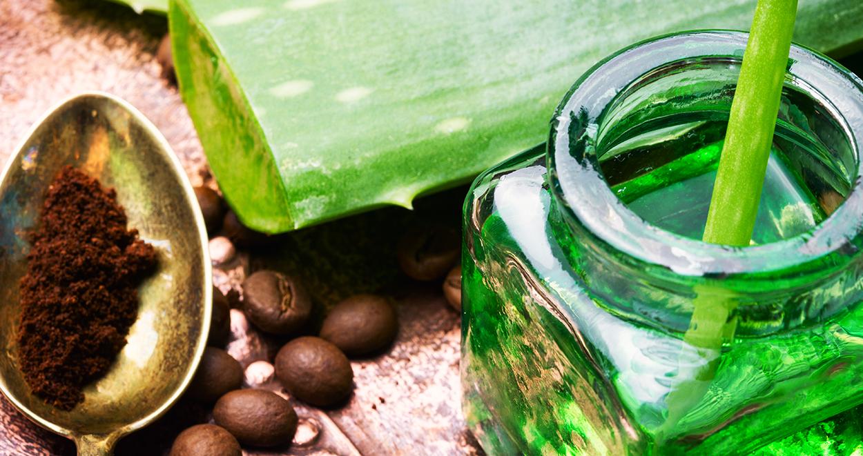 Neden Aleo Vera Jeli Kullanmak Gerekir? 1 Neden aloe vera jeli kullanmak gerekir