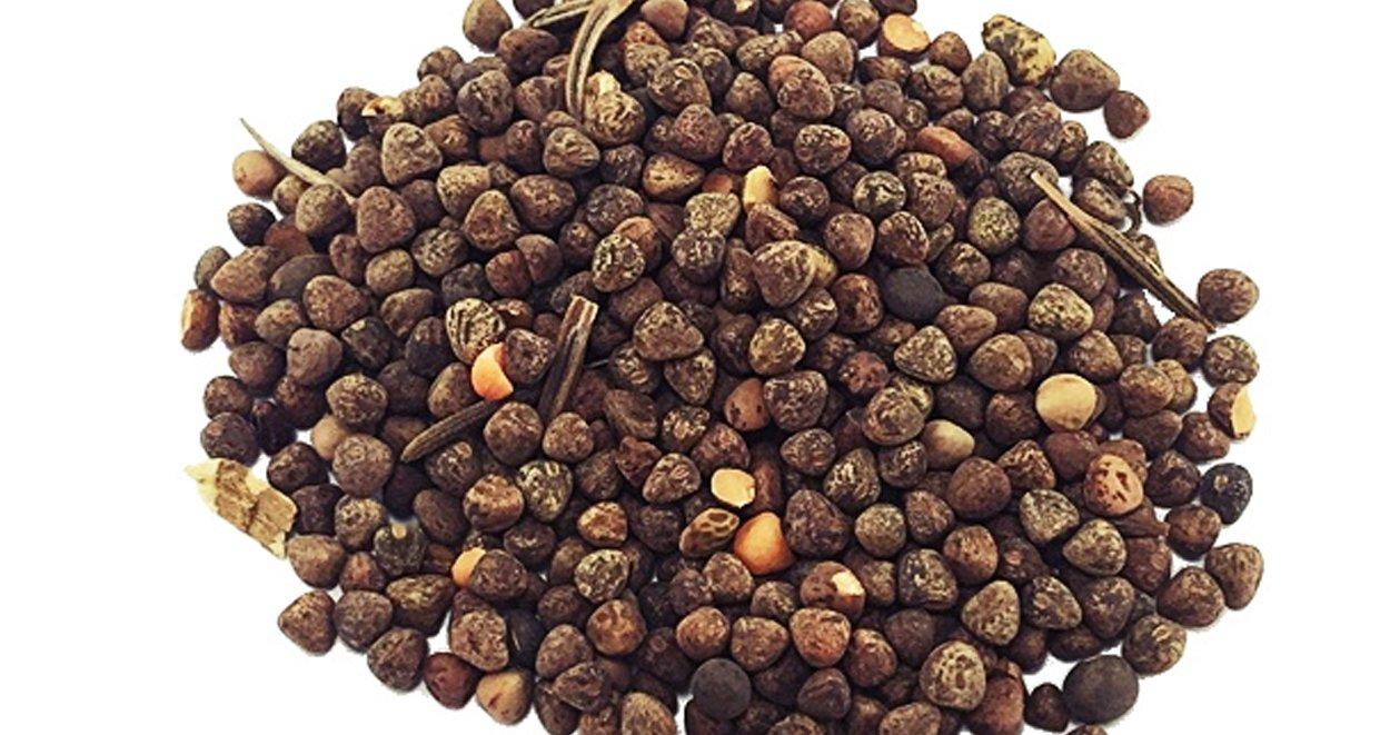 Burçak Tohumunun Faydaları Nelerdir? 1 Burçak tohumunun faydalari nelerdir
