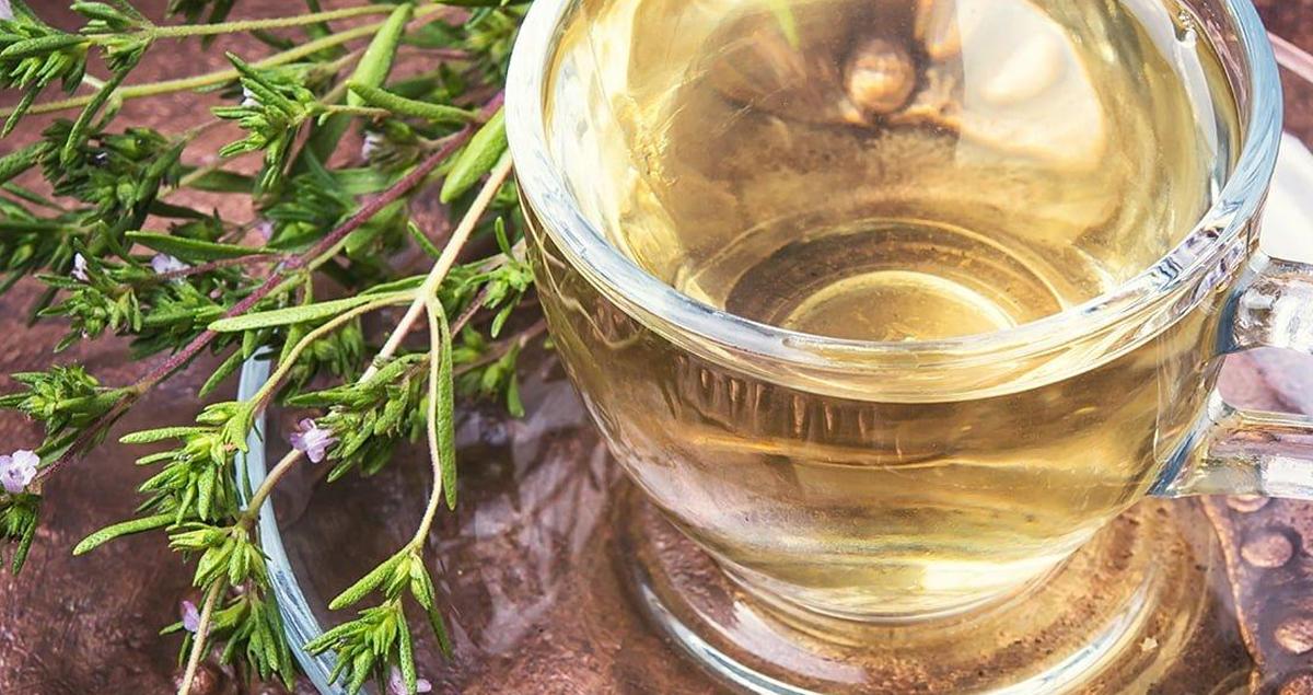 Gingko Bitki Çayını Çok Tüketmenin Sakıncaları Var mı? 2 Gingko Bitki Cayini Cok Tuketmenin Sakincalari Var mi 1