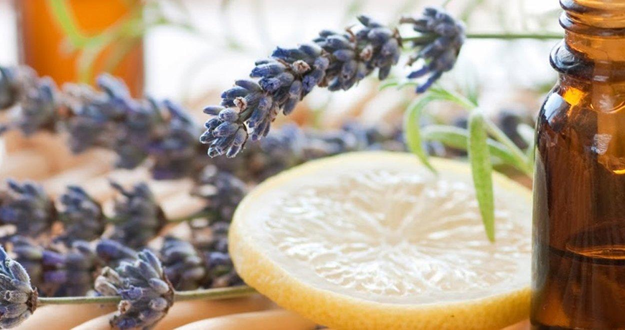 Limon Otu Yağının Cilde Faydaları Nelerdir? 1 Limon otu yaginin cilde faydalari nelerdir