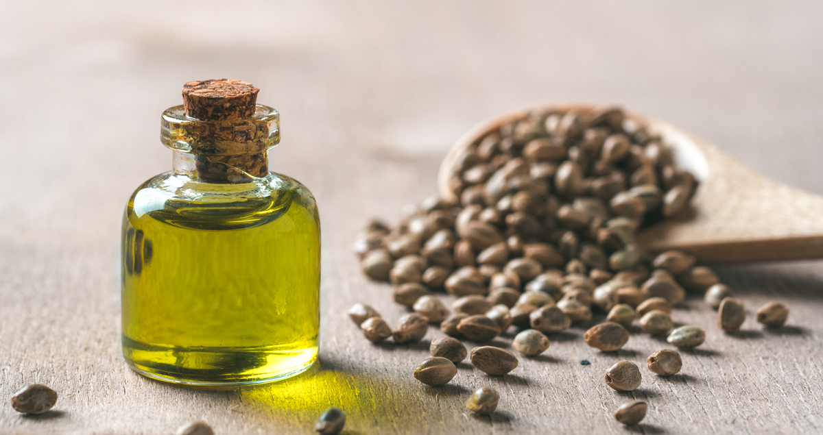 Kendir Tohumu Yağı Ne için Kullanılır? 1 Kendir Tohumu Yağı Ne İçin Kullanılır?