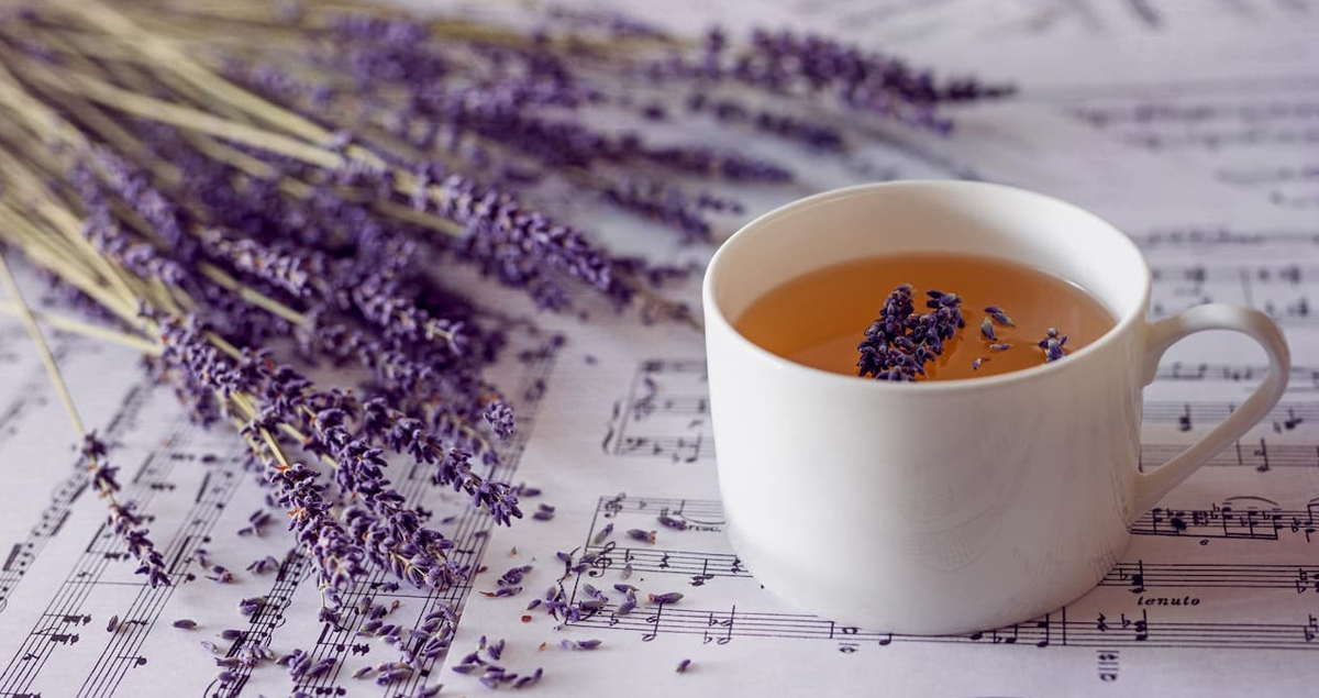 Lavanta Bitki Çayının Faydaları Nelerdir?