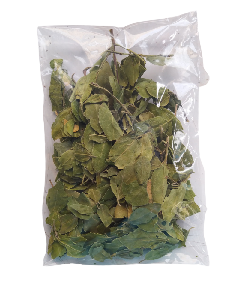 Sidr Yaprağı 50 gr - Görsel 2