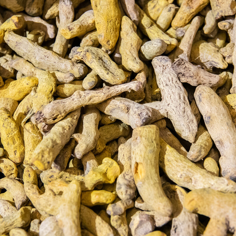 Kök Zerdeçal Kuru - Görsel 2