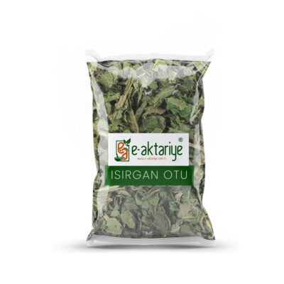 Isırgan Yaprağı