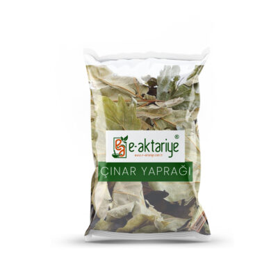 Çınar Yaprağı