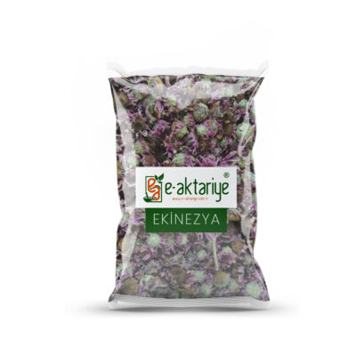 Ekinezya