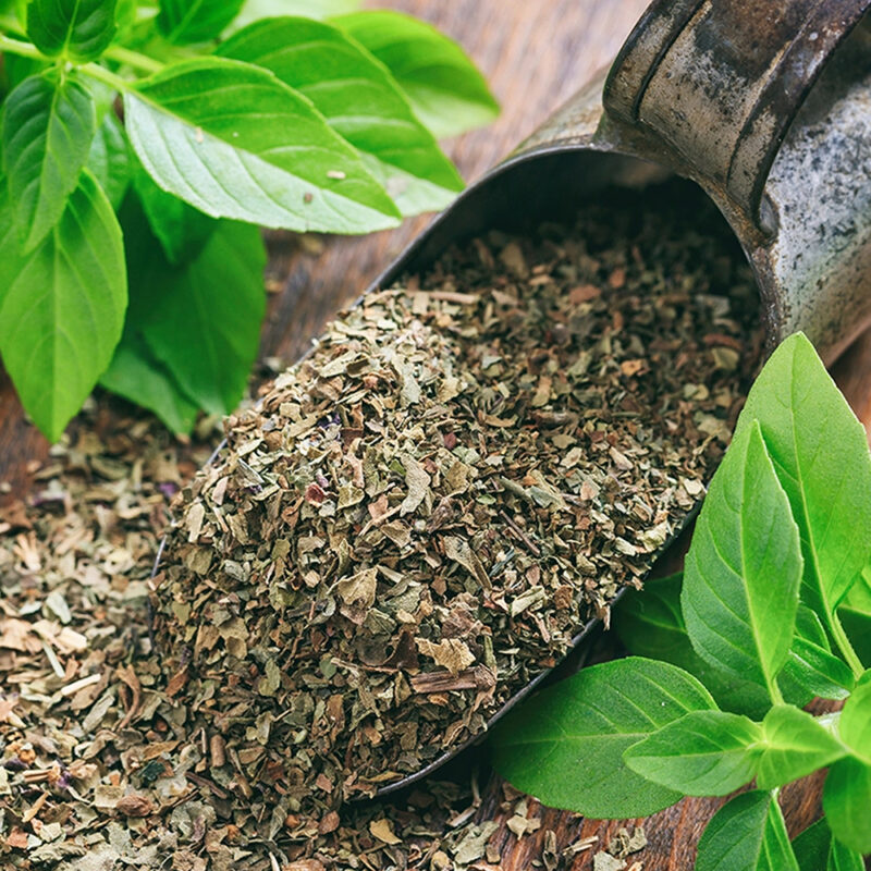 Fesleğen - Görsel 2