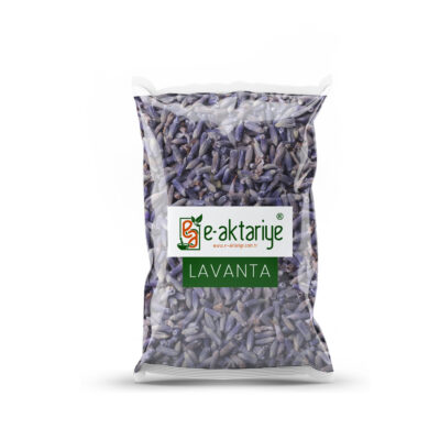 Lavanta