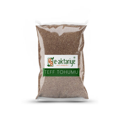 Teff Tohumu