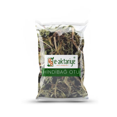 Hindibağ