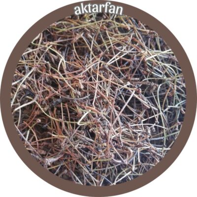 Kiraz Sapı 100 gr