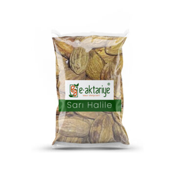 Sari Halile
