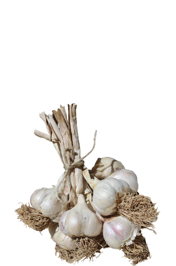 Taş Köprü Sarımsağı 250 gr